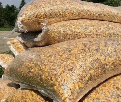 CHICKEN PIGEON DUCK FEED $45 Pickering , View more
