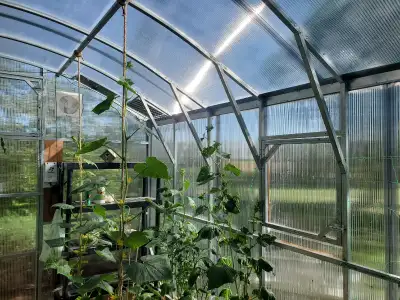 Designed to withstand Canadian harsh weather. Heavy-duty galvanized metal frame. High Snow Load High...