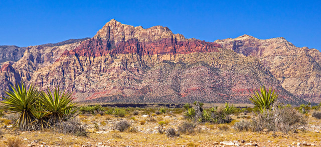 Original Wall Art - Red Rock Canyon in Arts & Collectibles in Markham / York Region