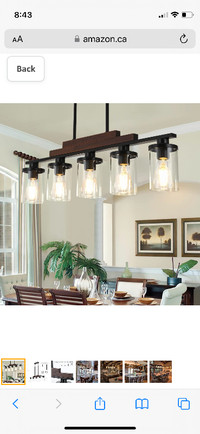 Pendant Indoor Light