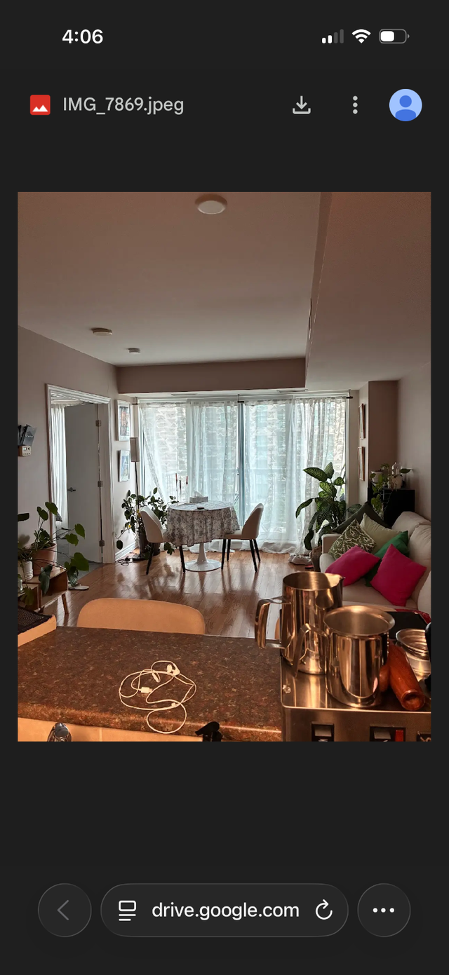 Alluring condo in downtown Ottawa