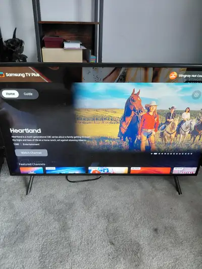 For Sale $150 - Samsung 43" Smart TV 4K LED Ultra HD, View more