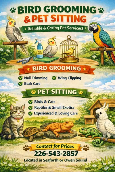 Mobile Bird Grooming, View more