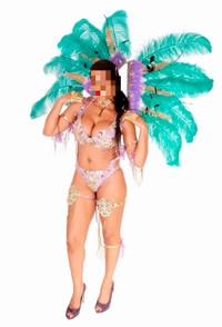 AS-IS, Adult Feathered Carnival Costume-$325 OBO