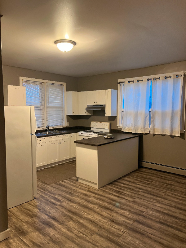 1 Bedroom Apartment for Rent - $1500 / Month / All Inclusive in Long Term Rentals in St. Catharines