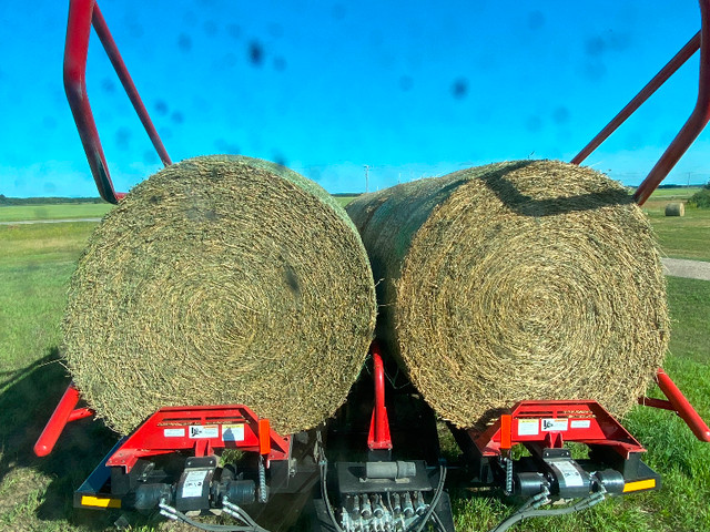 Alfalfa hay in Livestock in Saskatoon