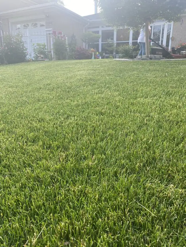 Grass cutting Lawn mowing / Lawn care / Leaf cleaning62863240794755122