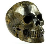 Huge 5.0" Stromatolite Crystal Skull! Hand carved, realistic.