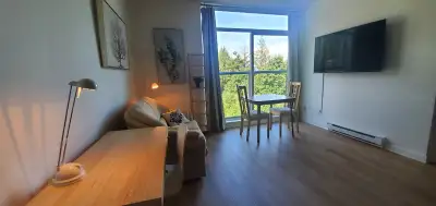 SFU - Fully Furnished, Renovated Junior 1 BR