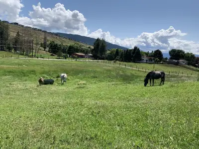 vacation rental studio on horse farm in town , View more