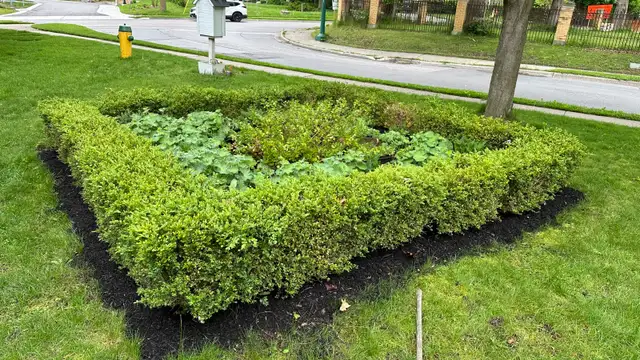 Yardwork, spring cleaning427545404407828483