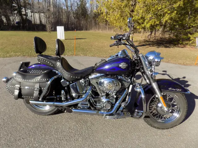 Harley Davidson Heritage Softail 2001 in Street, Cruisers & Choppers in Ottawa - Image 2