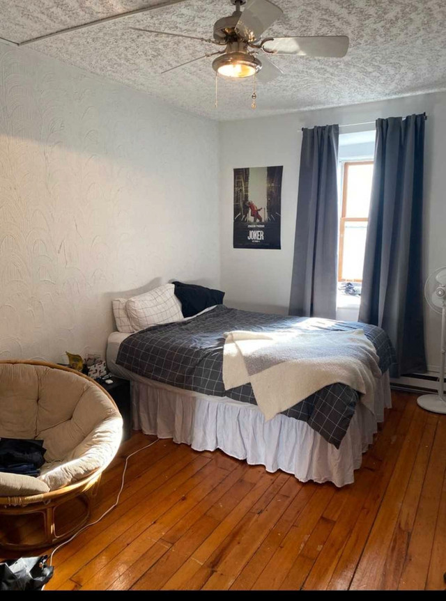 McGill Ghetto Apartment 5 bedroom 2 bathroom dans Locations longue durée  à Ville de Montréal - Image 2