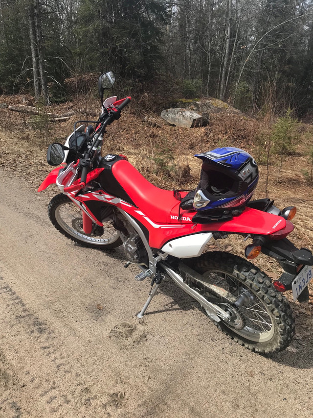 Crf250l  in Sport Touring in Muskoka - Image 3