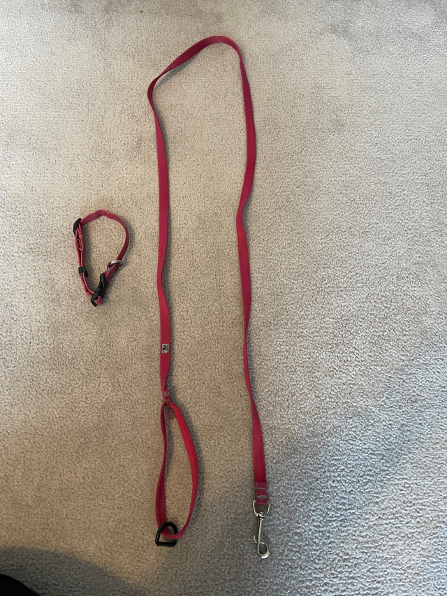 Dog leash &amp; collar - dark pink  in Accessories in Annapolis Valley - Image 2