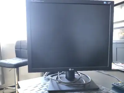 LG Flatron L1919S 19in LCD SXGA VGA LCD Monitor - Screen - Ecran, View more