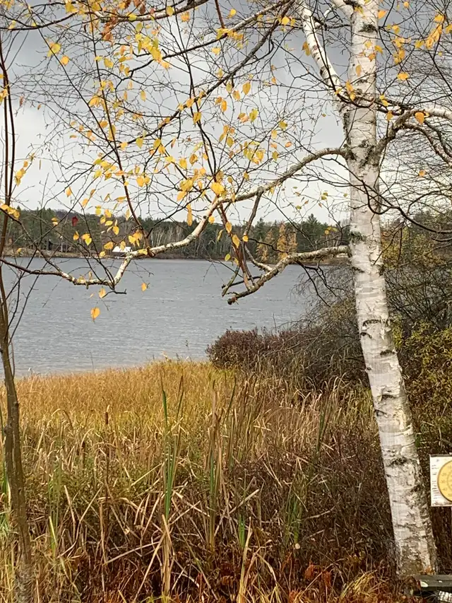 Port Loring 3 bedroom cottage for rent in Ontario in Canada - Image 2