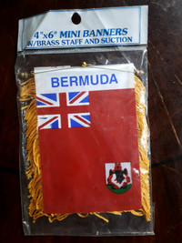 Bermuda Mini Banner