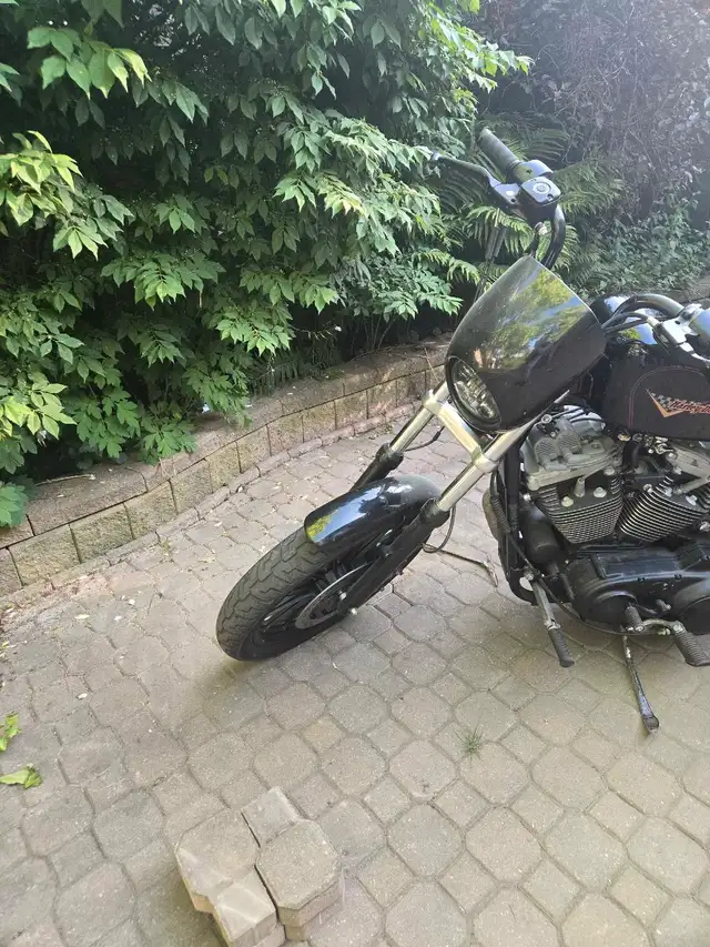 2001 Harley Davidson sportster 1200XL in Street, Cruisers & Choppers in Oshawa / Durham Region - Image 3