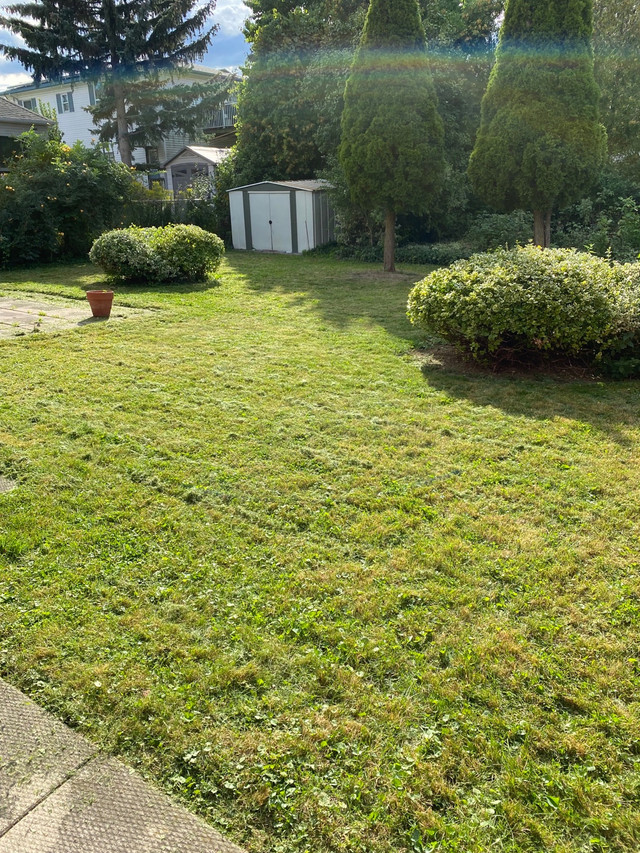 Grass Cutting  in Other in Hamilton - Image 4