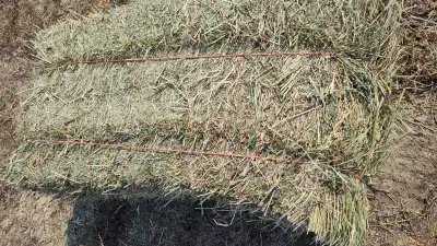 Pair of bale twines for round baler. Asking $40 OBO. Pick up from Herbert or can meet in Swift