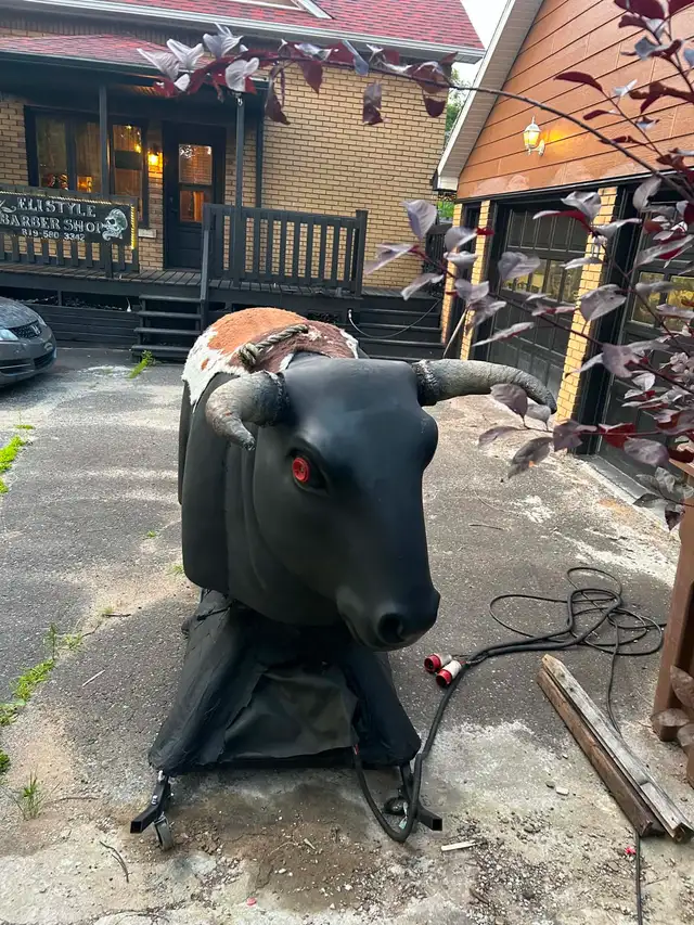 Mechanical Bull