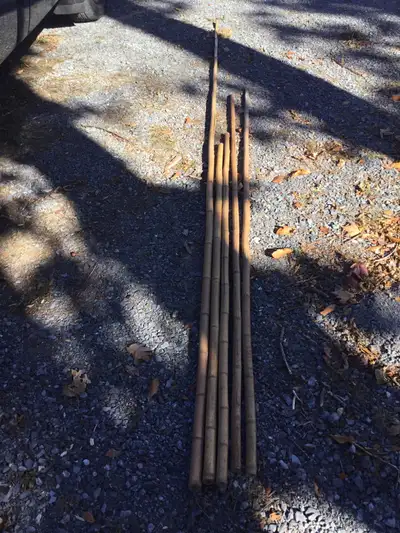 Bamboo Sticks, View more