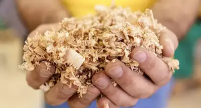 Wanted : Looking for FREE sawdust or wood shavings, View more