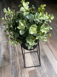 UMBRA Brand - Plant Stand with Pot