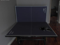 Matrix ping pong table