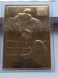 Undertaker 2002 Danbury Mint WWE Wrestling 22Kt Gold Card # 33