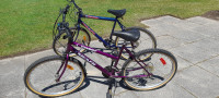 2 Bicycles pour $150