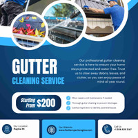 Gutter cleaning service 15%off PROMO