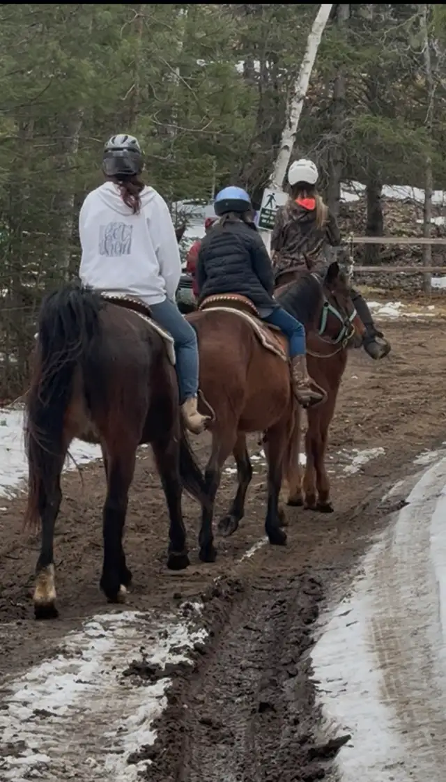 Horseback riding available!441075151595130882