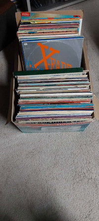 100+ vinyl records