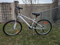 Infinity Crazyhorse Youth 24" Mountain Bike $100