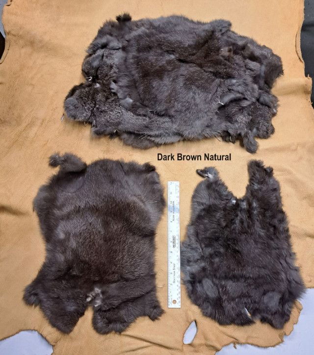 Rabbit Pelts - Free Shipping Anywhere in Canada! Prince Albert in Hobbies & Crafts in Prince Albert - Image 3