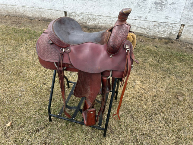 Saddle -  Rocky Mountain 16 inch Roper in Equestrian & Livestock Accessories in Edmonton
