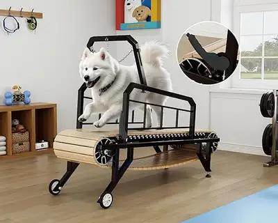 New 330 lb Non-Motor Dog Treadmills, View more
