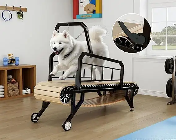 New 330 lb Non-Motor Dog Treadmills in Accessories in Ottawa - Image 2