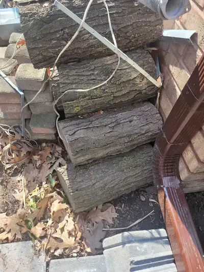 free firewood, View more