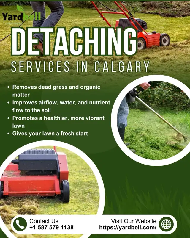 Spring Cleanup, Power Raking, Aeration and Lawn mowing Save 10%62863241128195124