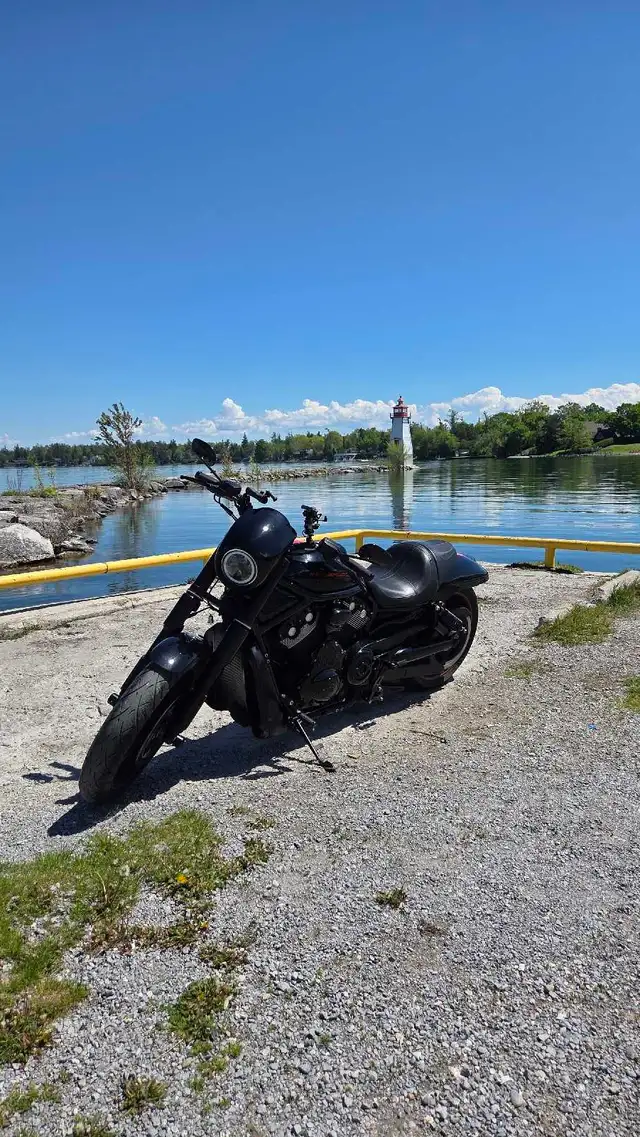 harley-davidson v-rod night in Street, Cruisers & Choppers in Markham / York Region - Image 8