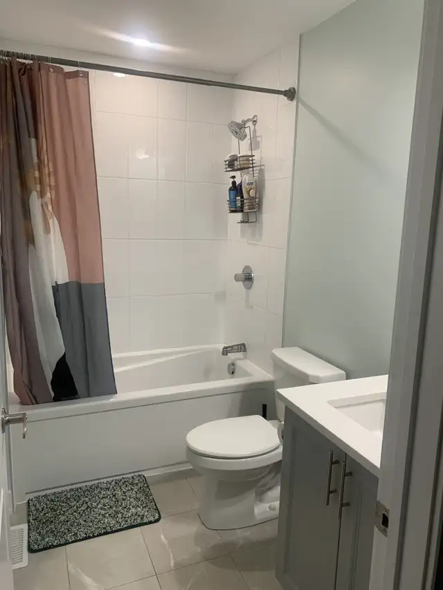 bathroom renovation491796809657231362