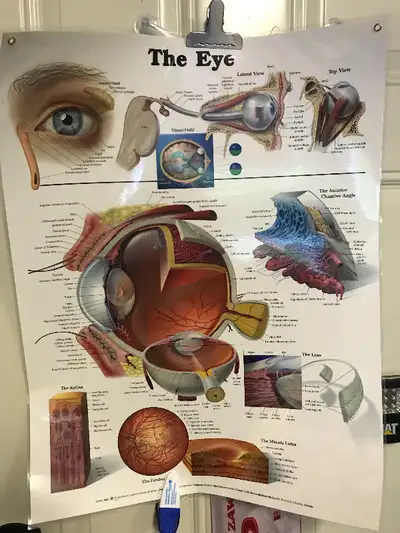 PARKER PICKERS - EACH one of the 3 is $19. They are all laminated with metal eyelets at the tops for...