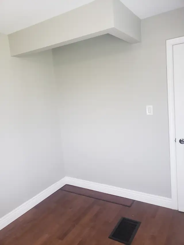 Professional Painter63735895291139127