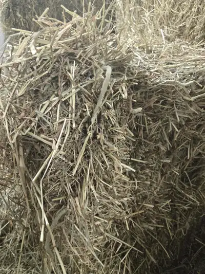 hay squares , View more
