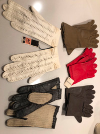 Gants pour femmes (5 paires ) / Women gloves