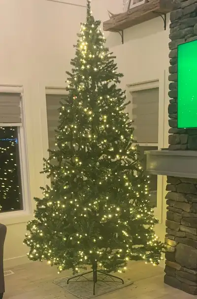 Christmas tree, View more