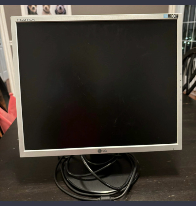 19 Inch LG Flatron LCD Computer Monitor in Monitors in Cambridge